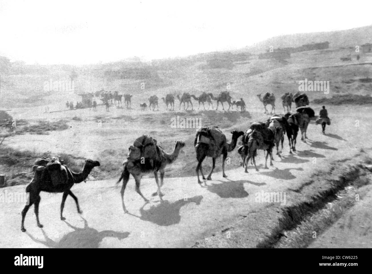 Sul fronte Greek-Turkish dell'Anatolia. Alimentazione caravan per l'esercito greco (1922) Foto Stock