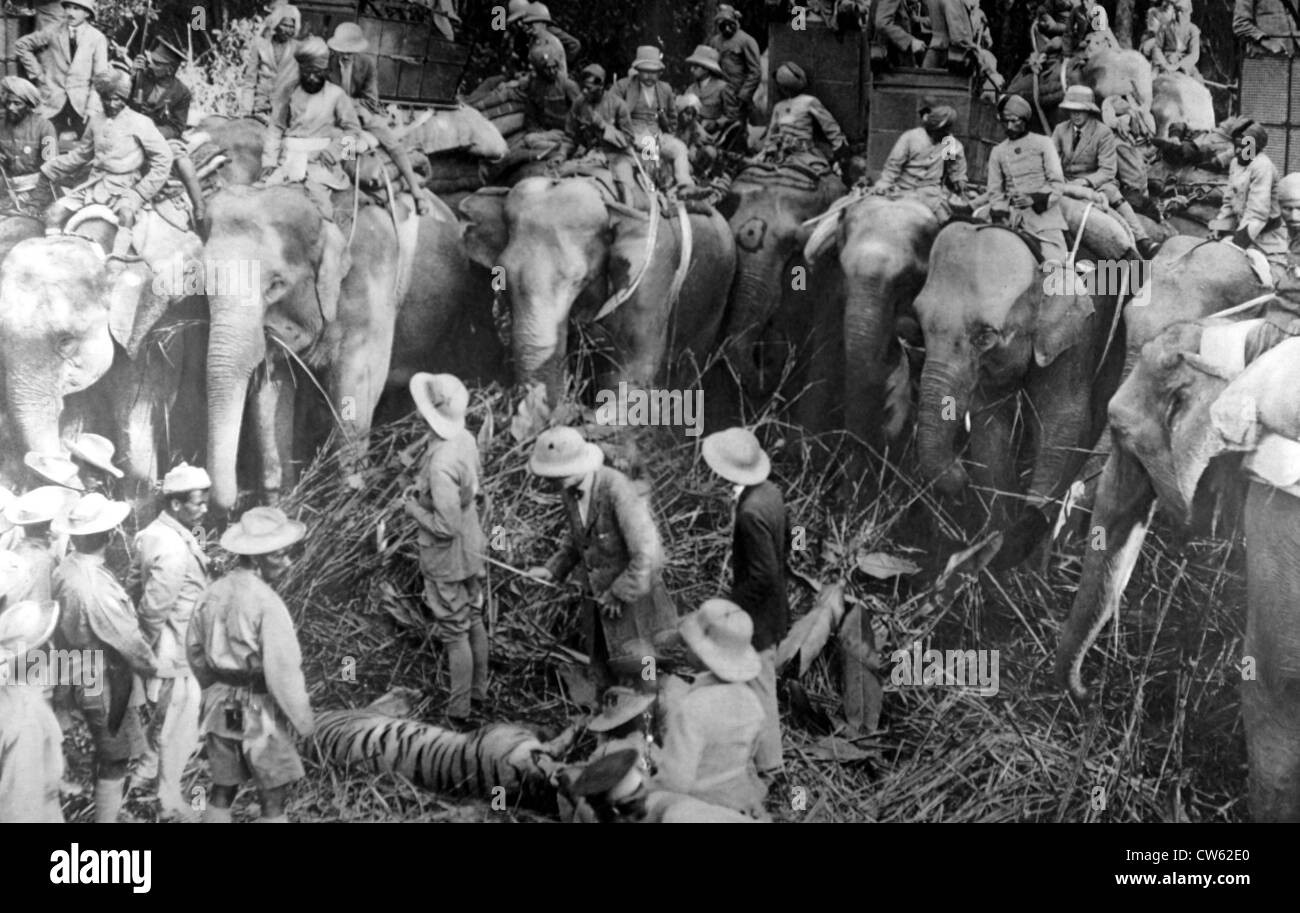 Il Principe di Galles caccia Tiger in Nepal, nel 1922 Foto Stock