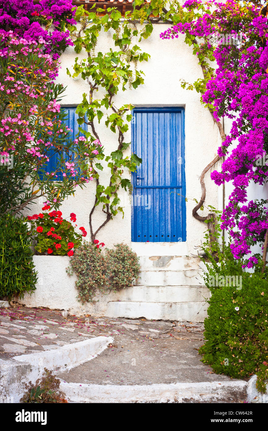 Piante colorate nel vecchio borgo, Alonissos, Grecia Foto Stock