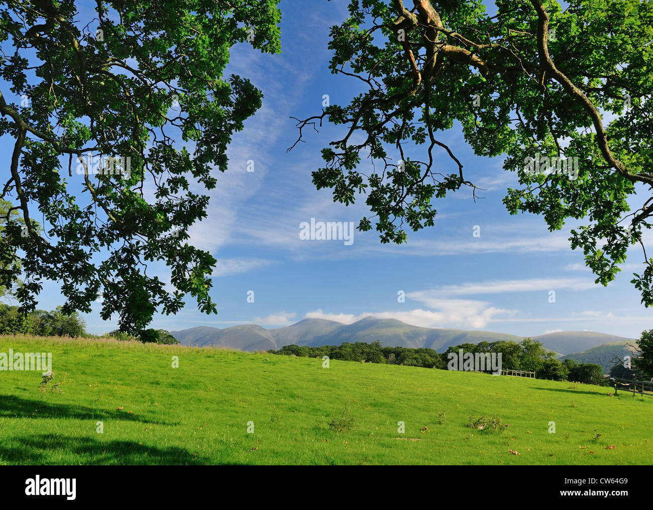 Vista in direzione di Skiddaw dall'Ings vicino Derwent Water nel Lake District inglese Foto Stock