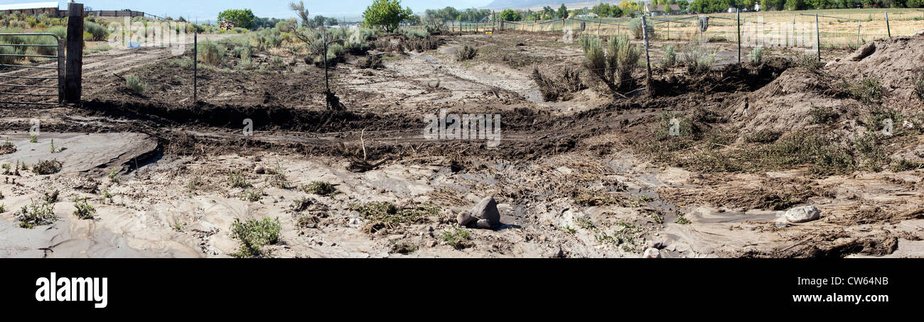 Diluvio dopo la matematica che mostra dove l acqua è venuto su una strada di campagna, fango e debri minacciano i campi agricoli. Central Utah, estate. Foto Stock