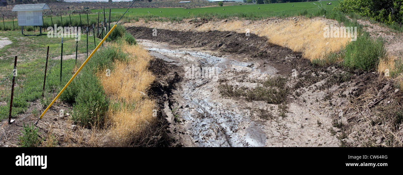 Diluvio dopo la matematica che mostra dove l acqua è venuto su una strada di campagna, fango e debri minacciano i campi agricoli. Central Utah, estate. Foto Stock