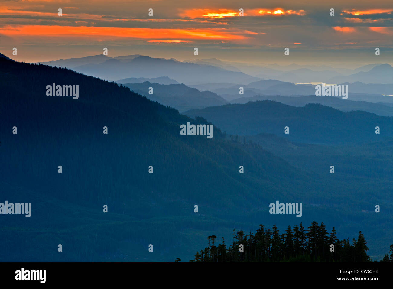 Vista aerea oltre le montagne panoramiche per la parte settentrionale di Vancouver Island guardando ad ovest durante il tramonto, British Columbia, Canada. Foto Stock
