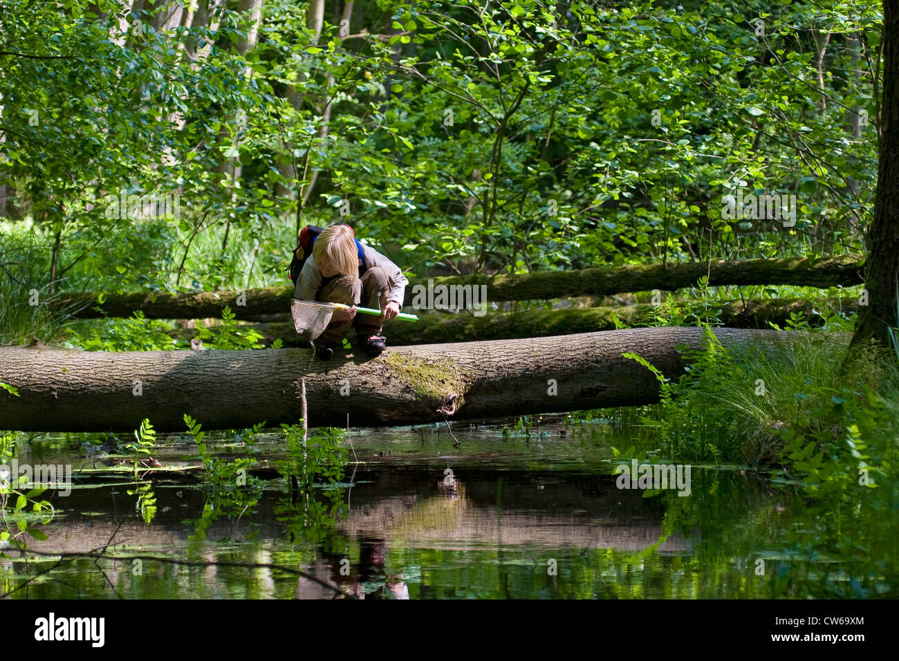 Ragazzo con dip-net in una foresta creek, seduto su un tronco di albero sopra l'acqua Foto Stock