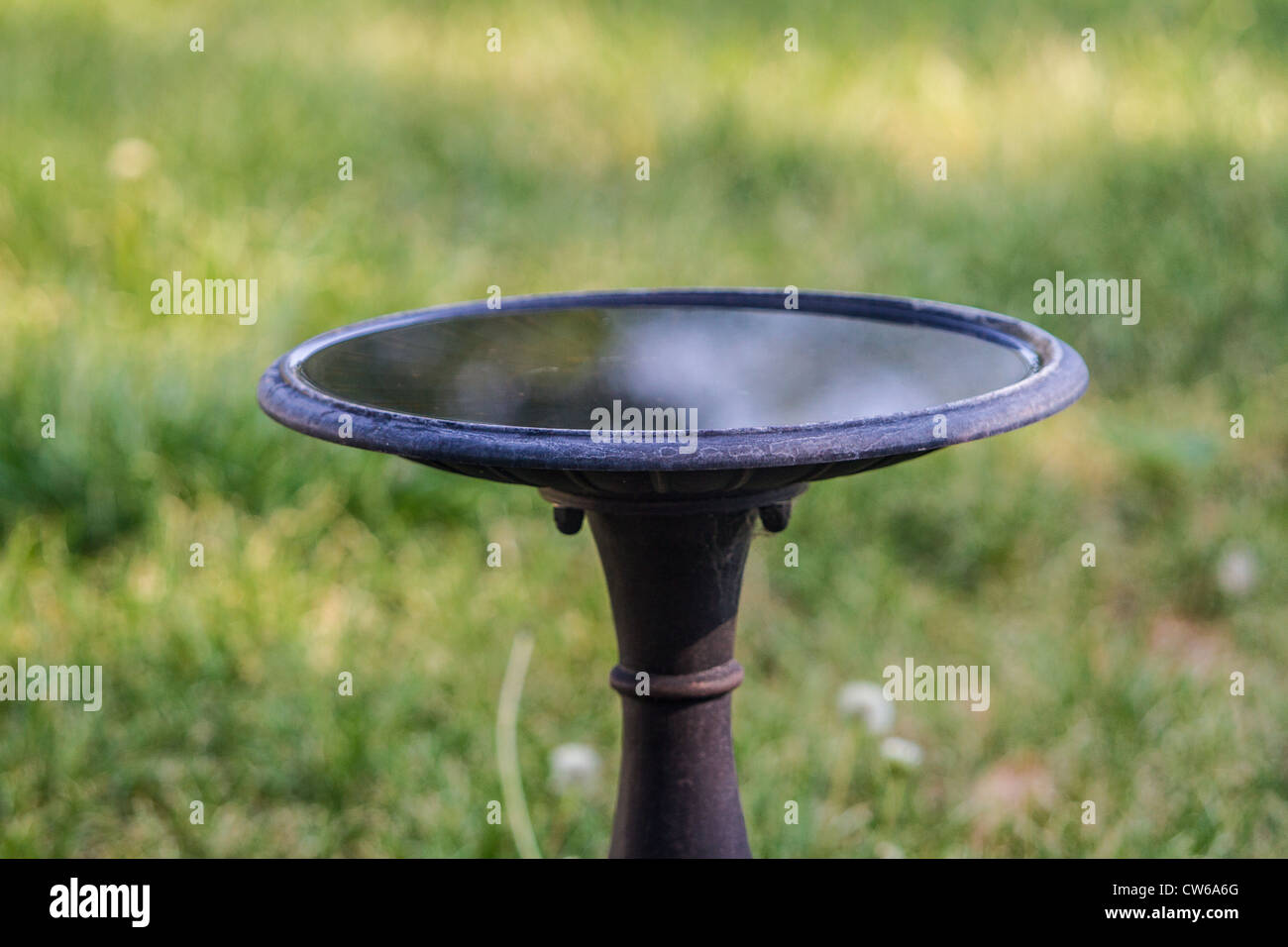 Un birdbath Foto Stock