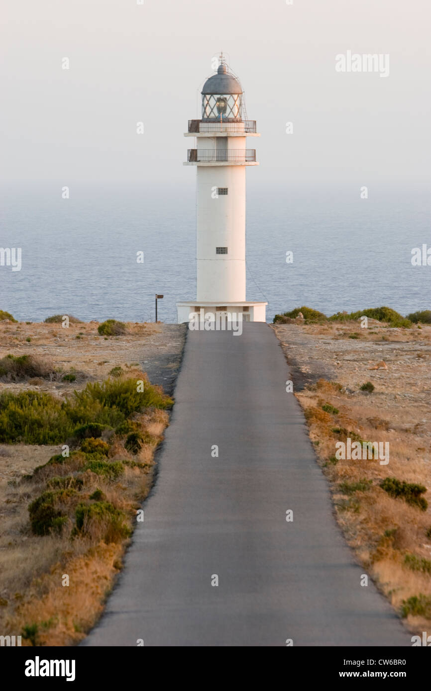 Lungo la strada a Es Cap de Barbaria lighthouse, Formentera Foto Stock