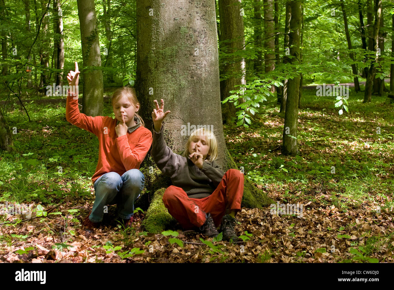 Due bambini seduti con gli occhi chiusi in una foresta in primavera, ascoltando birdsongs, contando le diverse specie Foto Stock