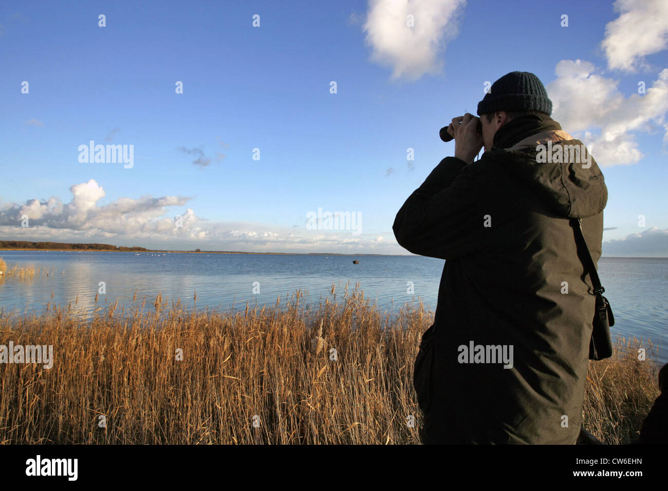 Zingst, un uomo guarda attraverso il binocolo sulla zona lagunare Foto Stock