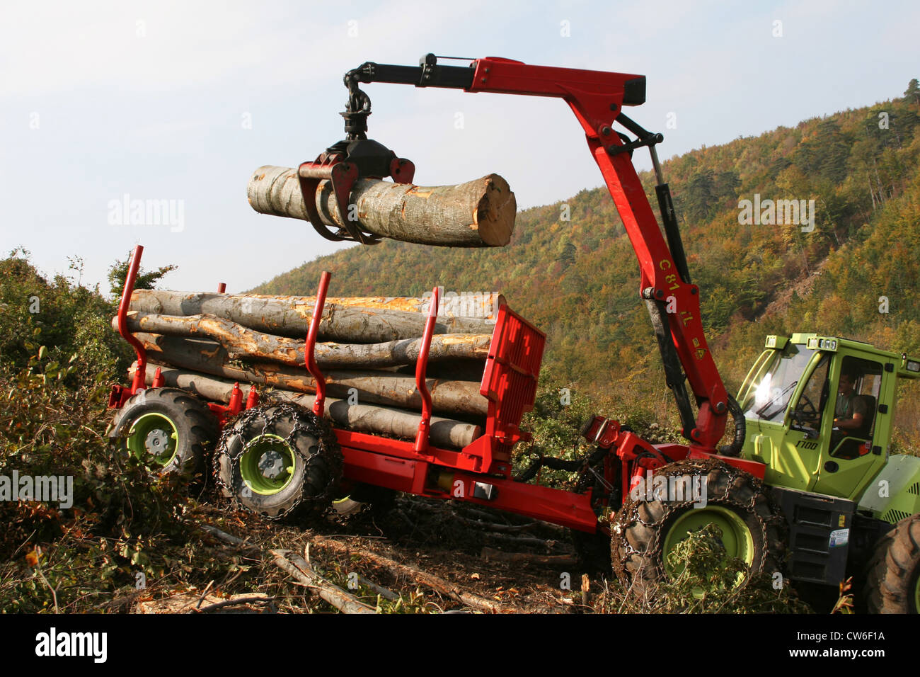 Opere in legno nel difficile campo Foto Stock