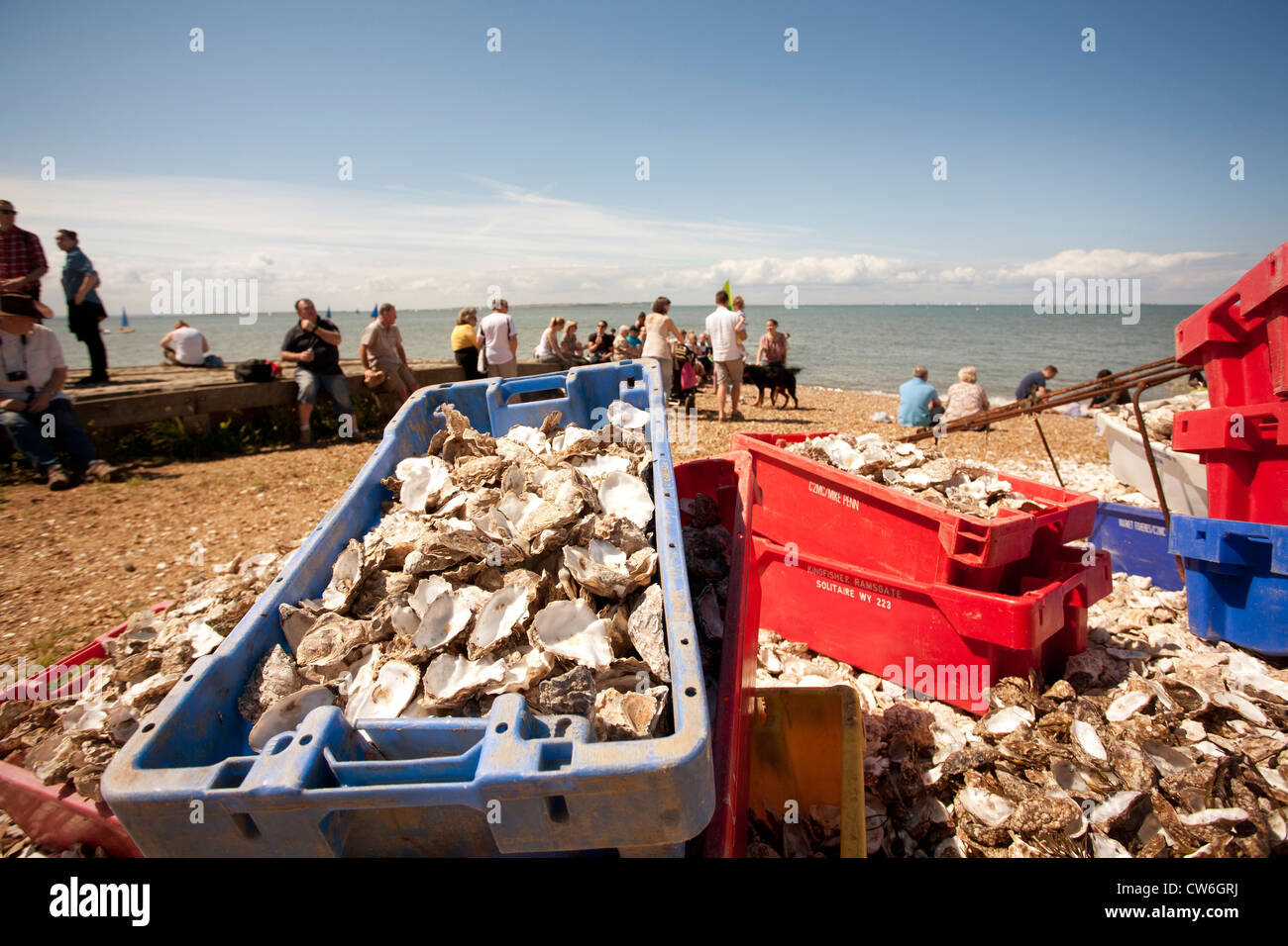 I gusci di ostrica, Whitstable beach, Kent Foto Stock