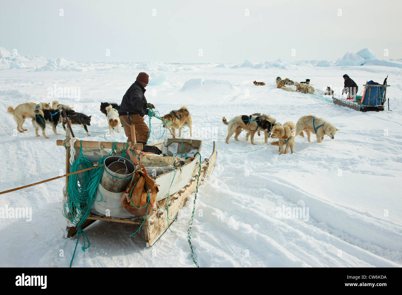 Due cacciatori Inuit con dogsleds a Cape Tobin, Groenlandia, Ostgroenland, Tunu, Ittoqqortoormiit Foto Stock