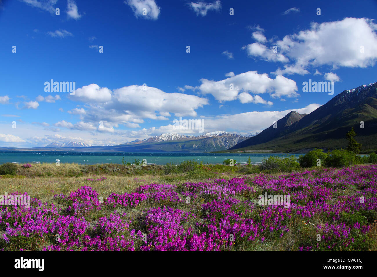 Paesaggio in Canada Canada Foto Stock