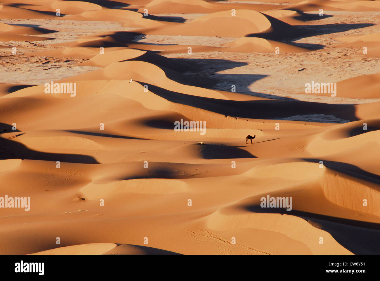 Vista la grande isolamento del deserto del Sahara Foto Stock