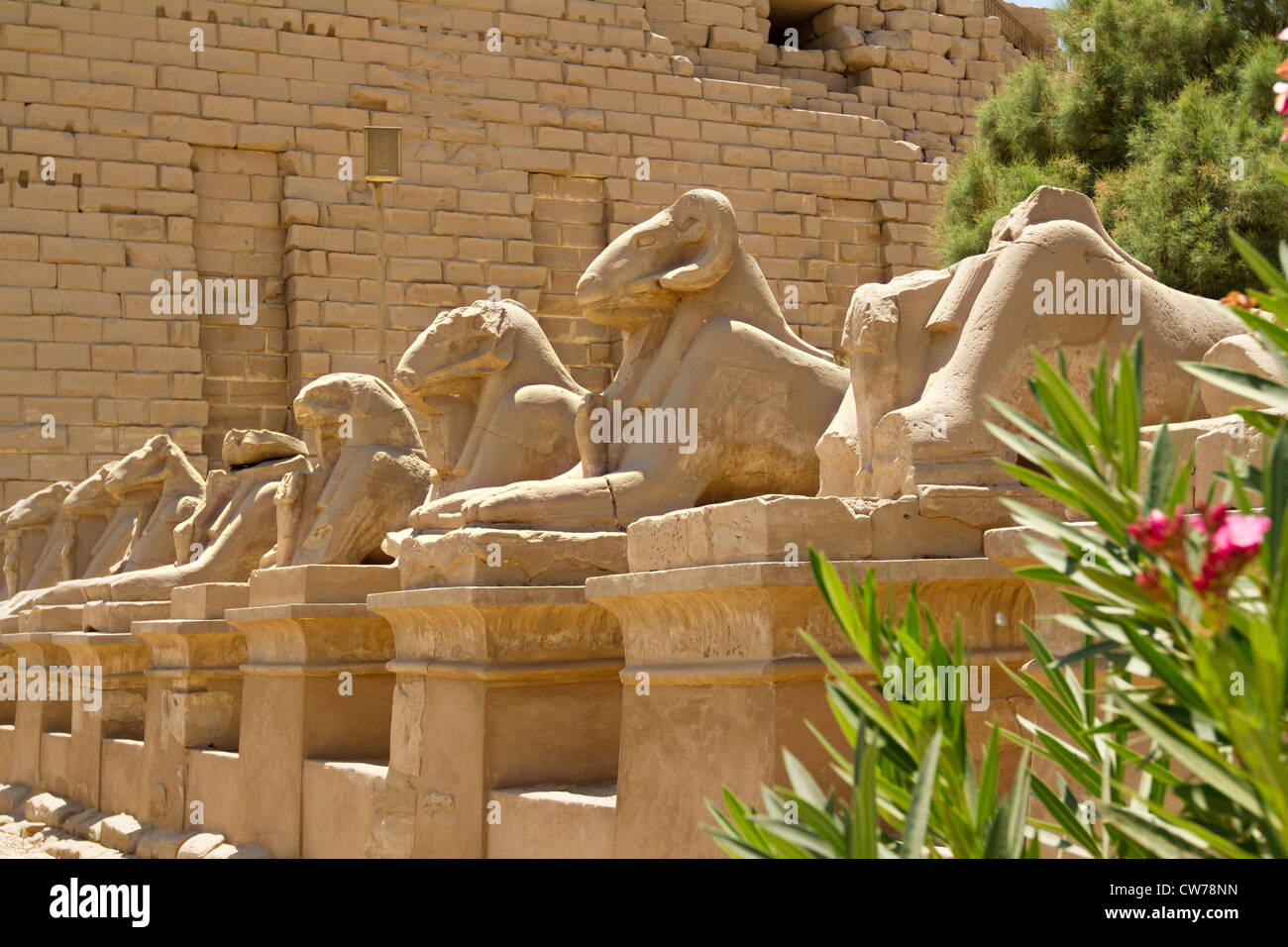 Tempio di Karnak con antico Egitto geroglifici Foto Stock