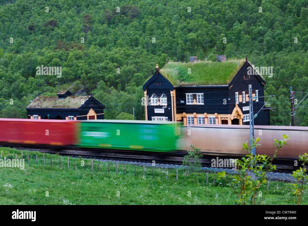 In legno stazione ferroviaria con roofplanting a Dovrefjell National Park, Norvegia, Dovrefjell National Park Foto Stock