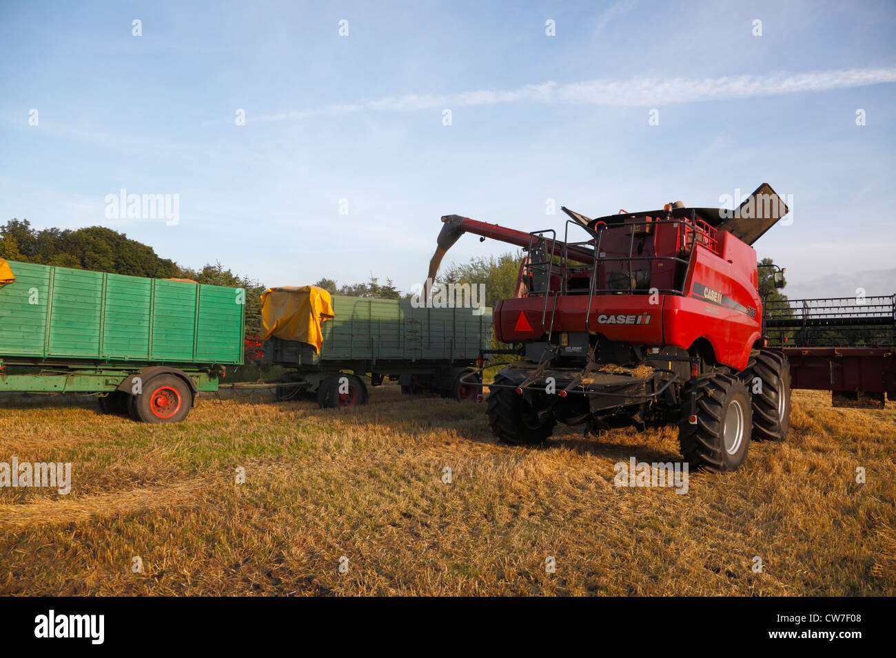 Trivella di terra immagini e fotografie stock ad alta risoluzione