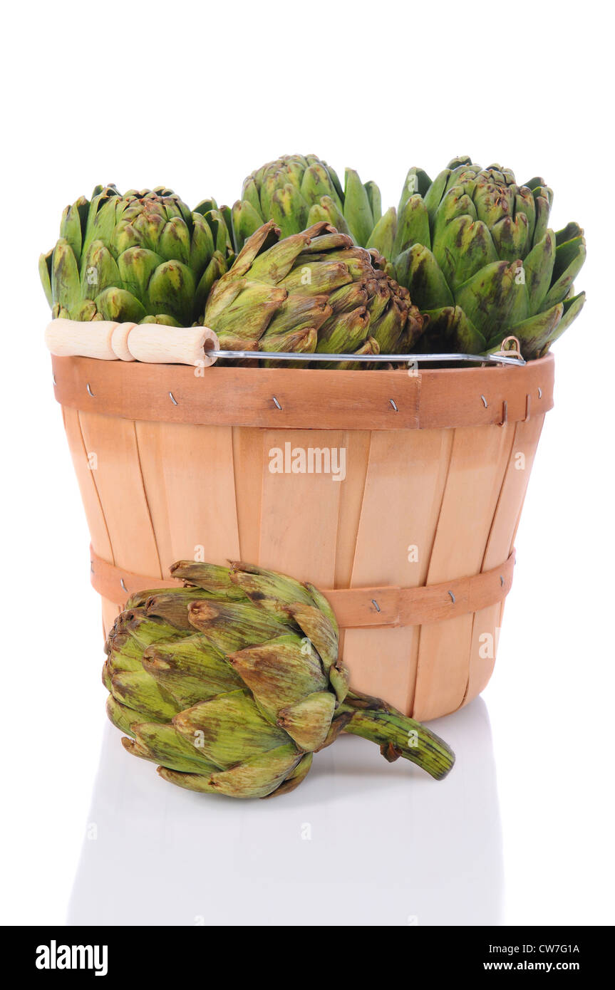 Freschi di carciofi raccolti in un cestello con uno sulla superficie in primo piano. Foto Stock