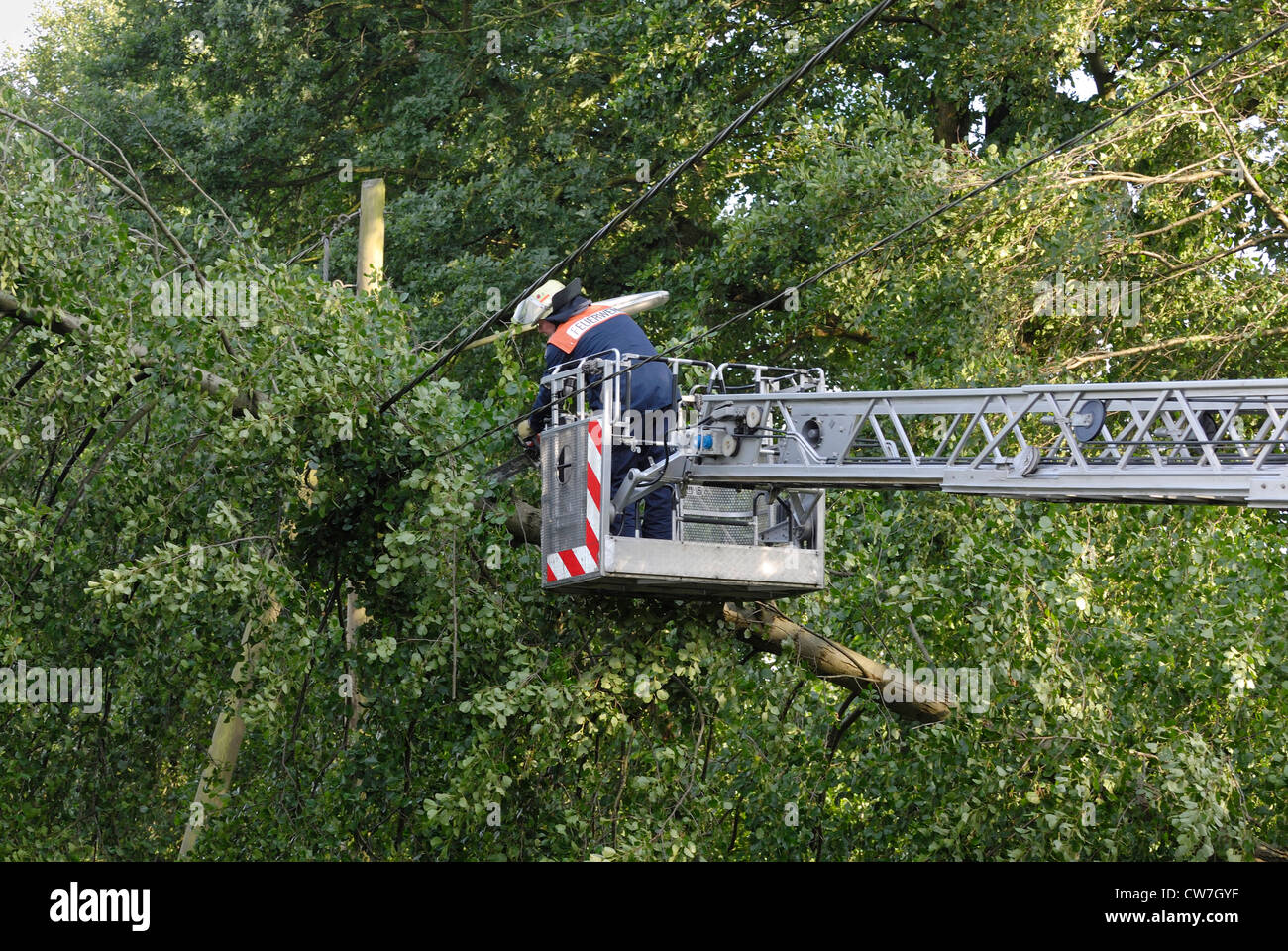 Vigile del fuoco al lavoro; rimozione dei danni causati dal vento, in Germania, in Renania settentrionale-Vestfalia, Sennestadt Foto Stock