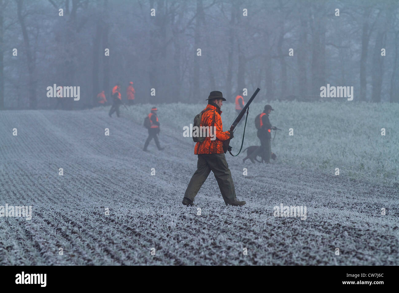 Cacciatori su campo in novembre, Germania Foto Stock