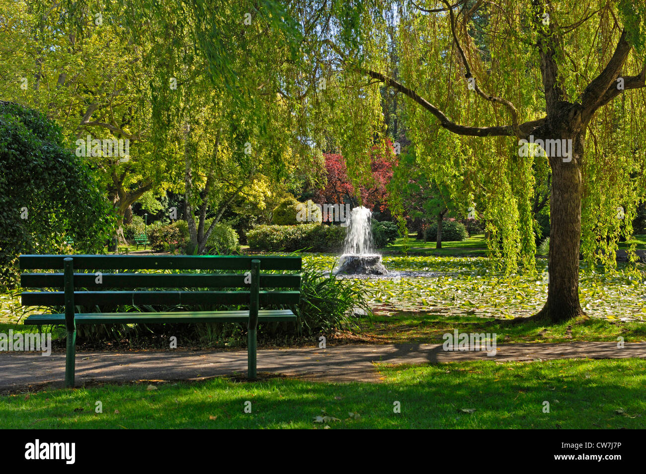 Parcheggio , Victoria, Isola di Vancouver, Canada, British Columbia, l'isola di Vancouver Foto Stock