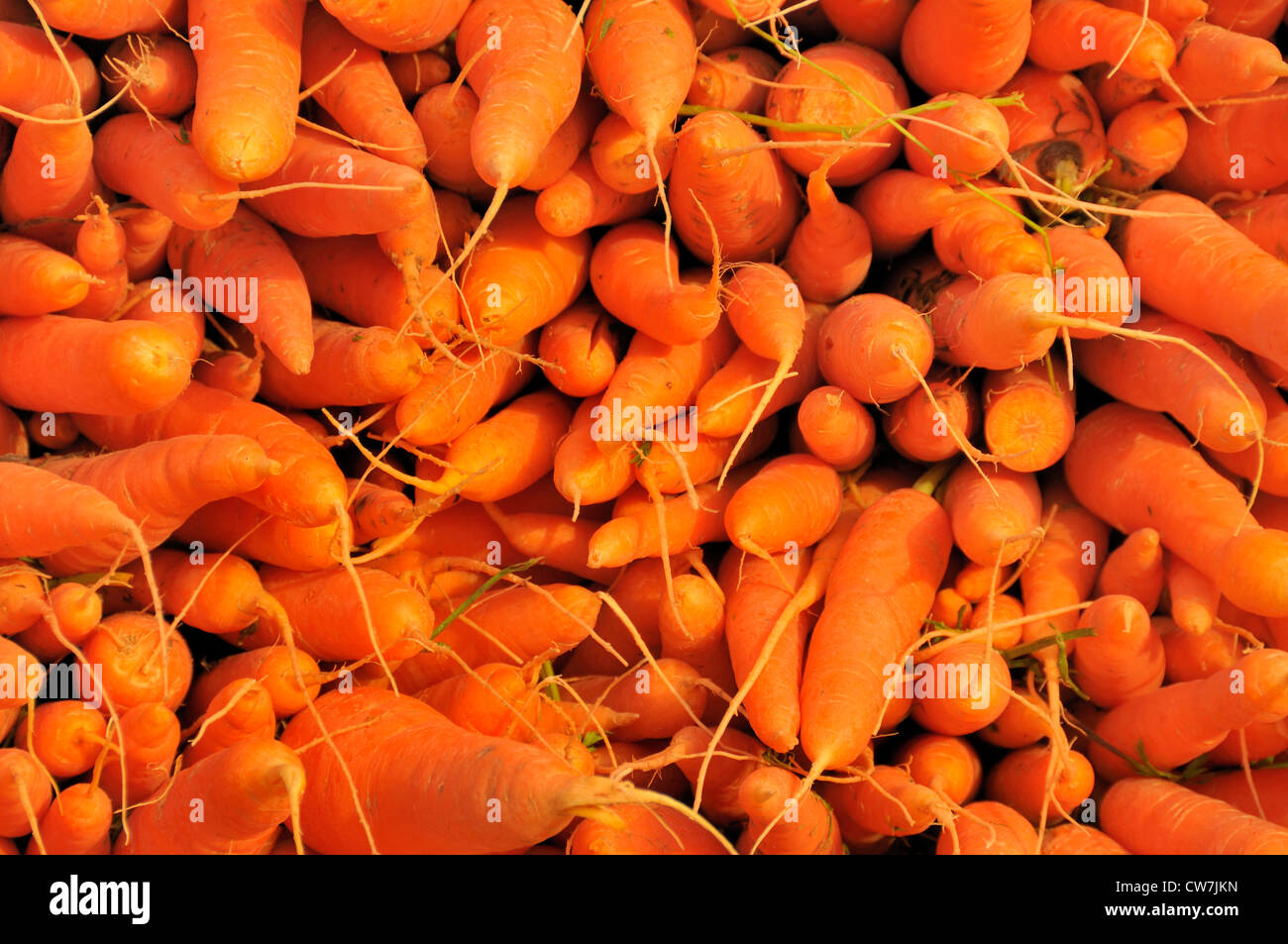 Sacco di carote, Marocco, Inezgane Foto Stock