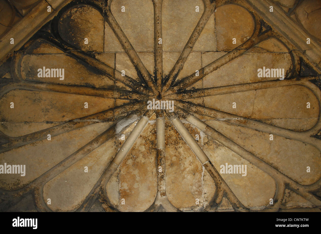 Soffitto di Newark Castle Newark-on-Trent, Newark, Nottinghamshire, England, Regno Unito Foto Stock