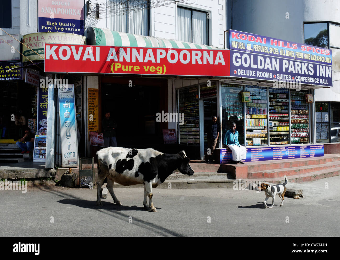 Una vacca sacra e un cane randagio guardando ogni altro in India Foto Stock