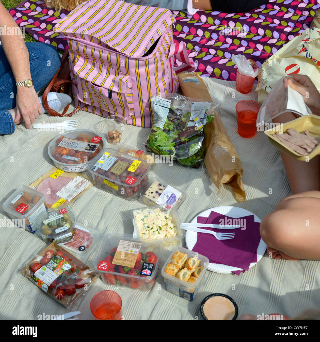 Le persone che si siedono sull'erba iniziano a godersi un picnic estivo non allestito nel Potters Fields Park Southwark Londra Inghilterra Regno Unito Foto Stock