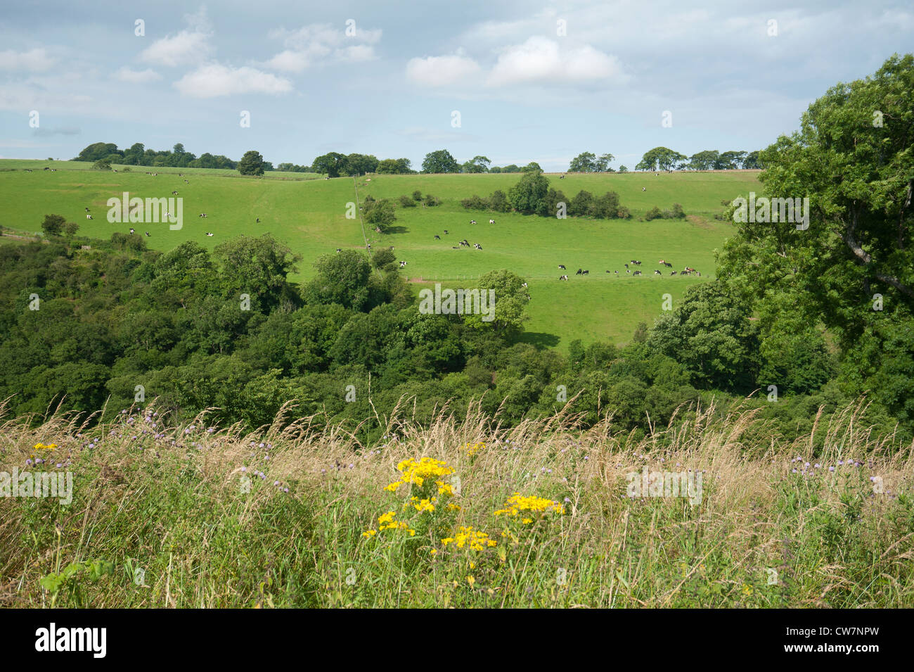 Paesaggio rurale sul percorso di approccio alla Crichton Castle, Pathead. Gorebridge. Midlothian. Scozia.SCO 8308 Foto Stock