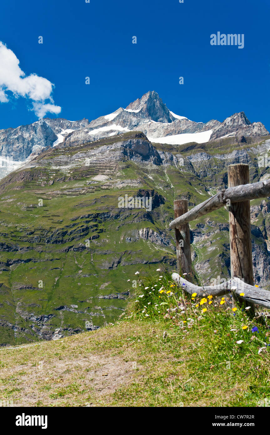Vista panoramica in estate delle alpi svizzere come visto da Sunnegga, Zermatt, Vallese, Svizzera Foto Stock