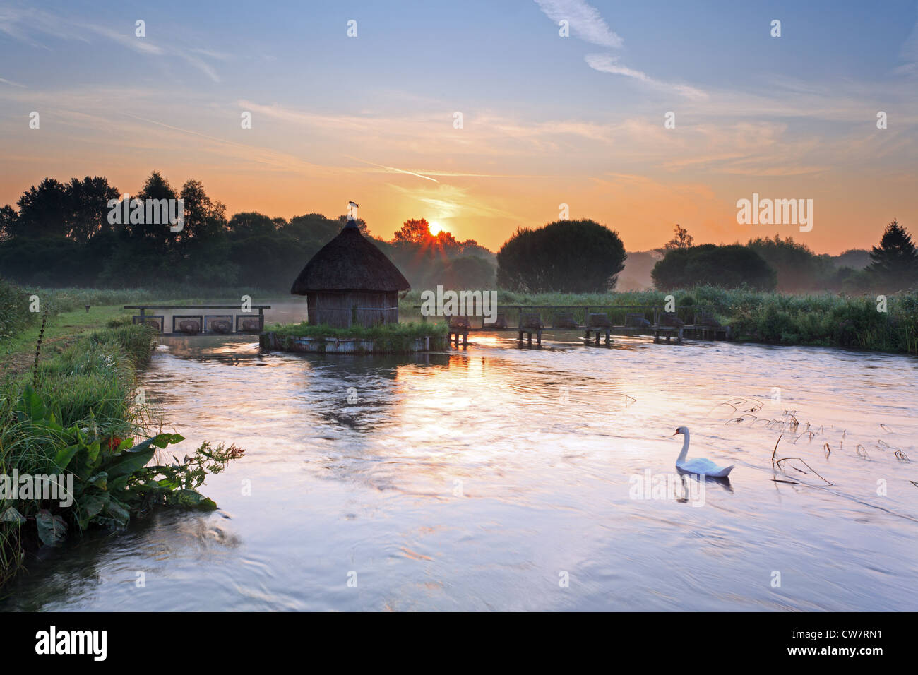 Alba sul fiume vicino a prova Longstock in Hampshire Foto Stock