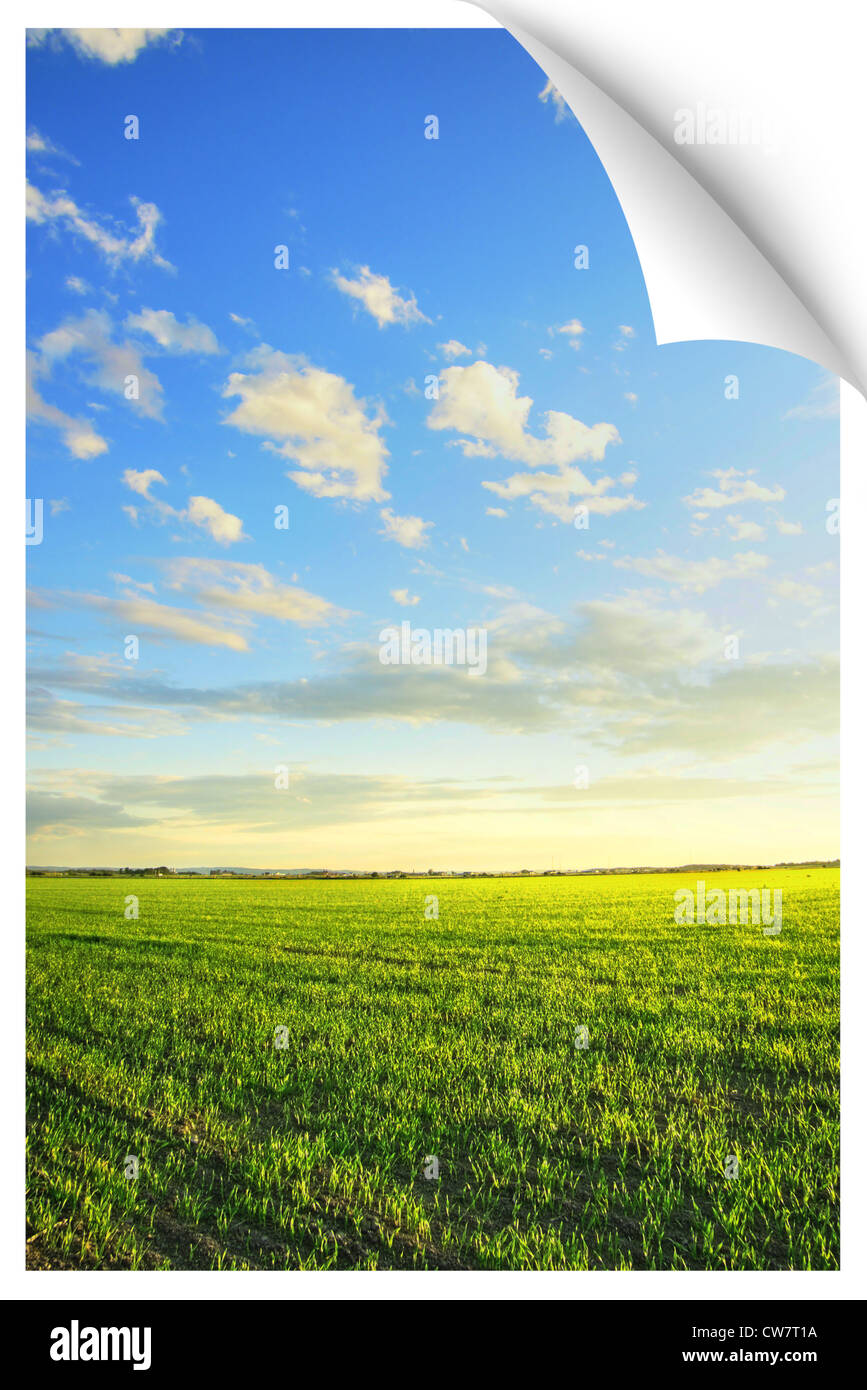 Poster o cartolina illusione di un bellissimo paesaggio : Sunrise su una  nuova campi coltivati bellissimi, drammatico il rendering HDR Foto stock -  Alamy