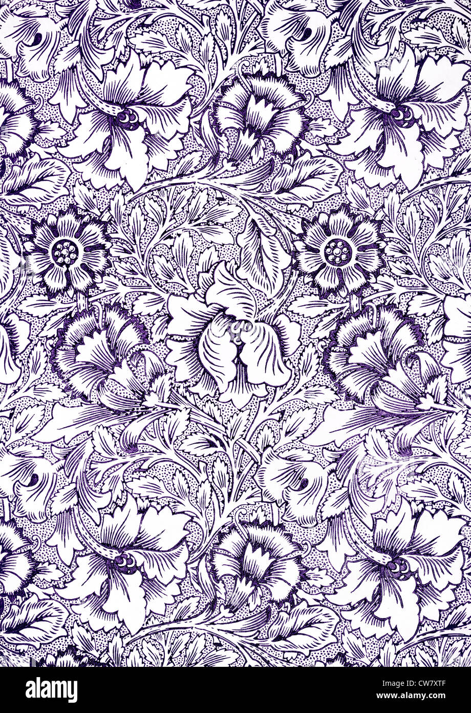 Carta da parati Apple 1877 Foto Stock