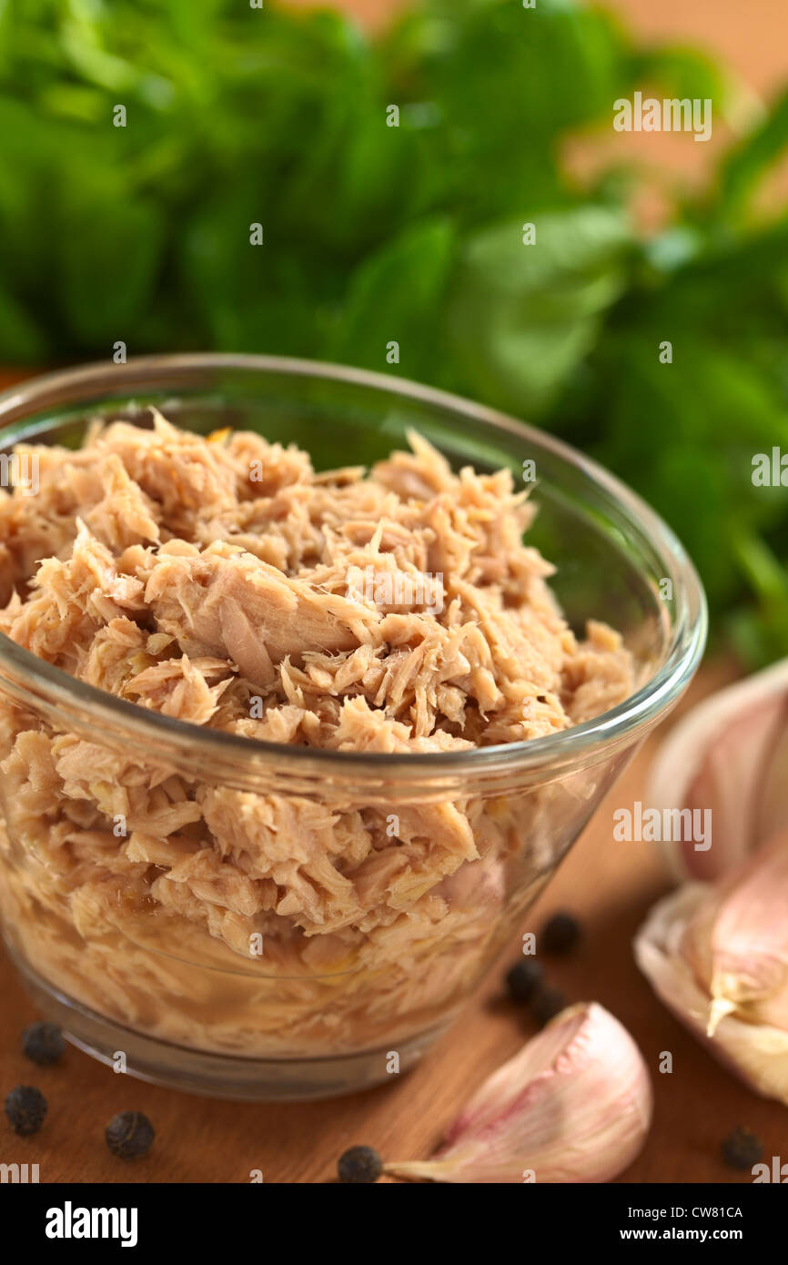 Tonno in recipiente di vetro con spicchi di aglio e pepe nero i duroni e crescione (fuoco selettivo, la messa a fuoco di un terzo nel tonno) Foto Stock