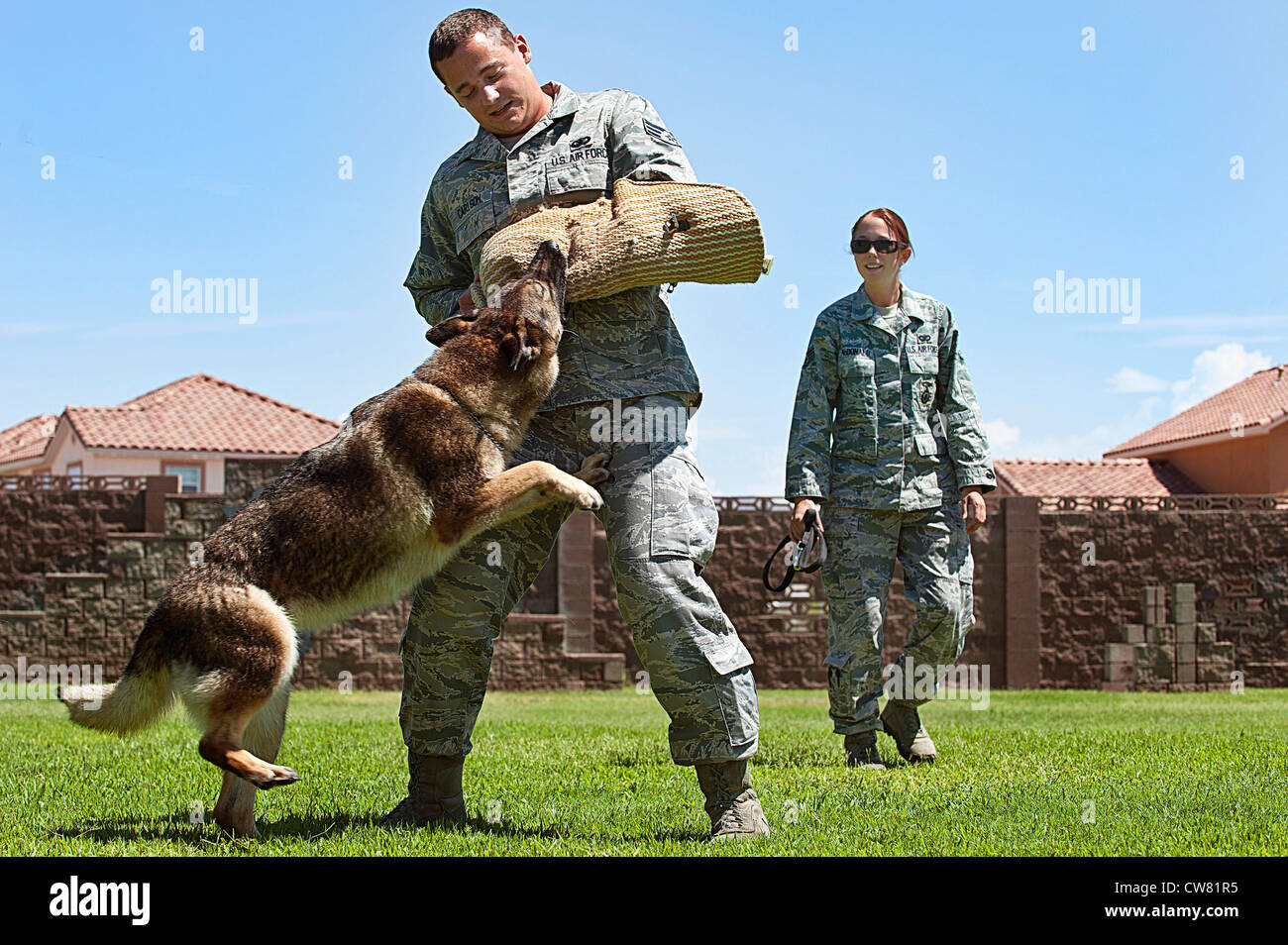 Senior Airman Corbin Carlson e staff Sgt. Janna McDonald, 99th Security Forces Squadron Military Working Dog Handlers, addestrare Elza, un cane militare che lavora, 13 agosto 2012, alla base dell'aeronautica di Nellis, Never. Carlson e McDonald usano una varietà di comandi per tenere i cani pronti per qualsiasi situazione. ( Foto Stock