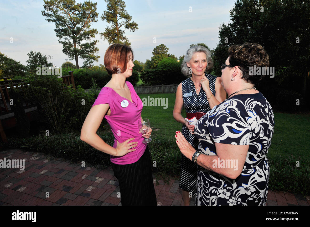 Jennifer Carey (a sinistra), capo del 9° gruppo di comandanti dell'aeronautica, parla con Kathy Wells (al centro), moglie del generale Lawrence Wells, e Joyce Byington, leader civici della base congiunta Langley-Eustis membro clark alla base dell'aeronautica Shaw, S.C., agosto 14, 2012. I dirigenti della Civic base di Langley , Robins AFB, Seymour Johnson AFB, Moody AFB e Shaw si sono riuniti per una visita Foto Stock