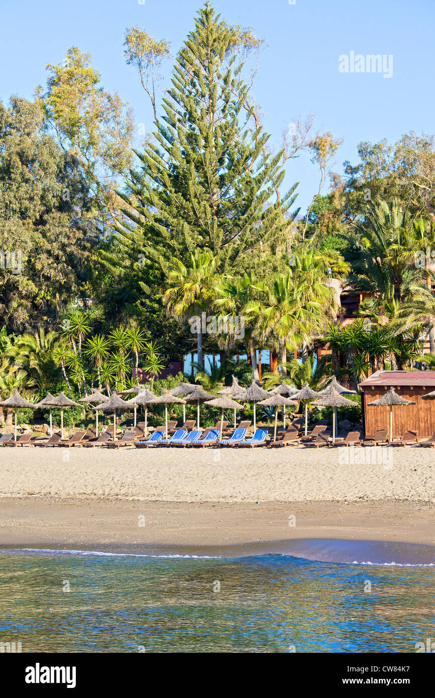Marbella spiaggia di sabbia attrezzata con sedie a sdraio scenario vacanze in Andalusia, costa del sol, provincia di Malaga. Foto Stock