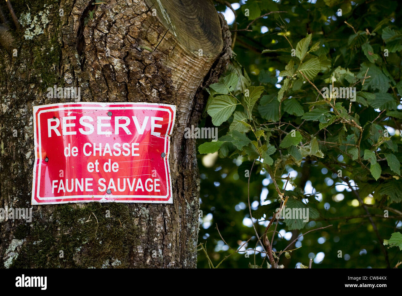 Segno francese per riserva de Chasse et de faune sauvage inchiodati ad un albero. Francese riserva di caccia e area faunistica del segno. Foto Stock