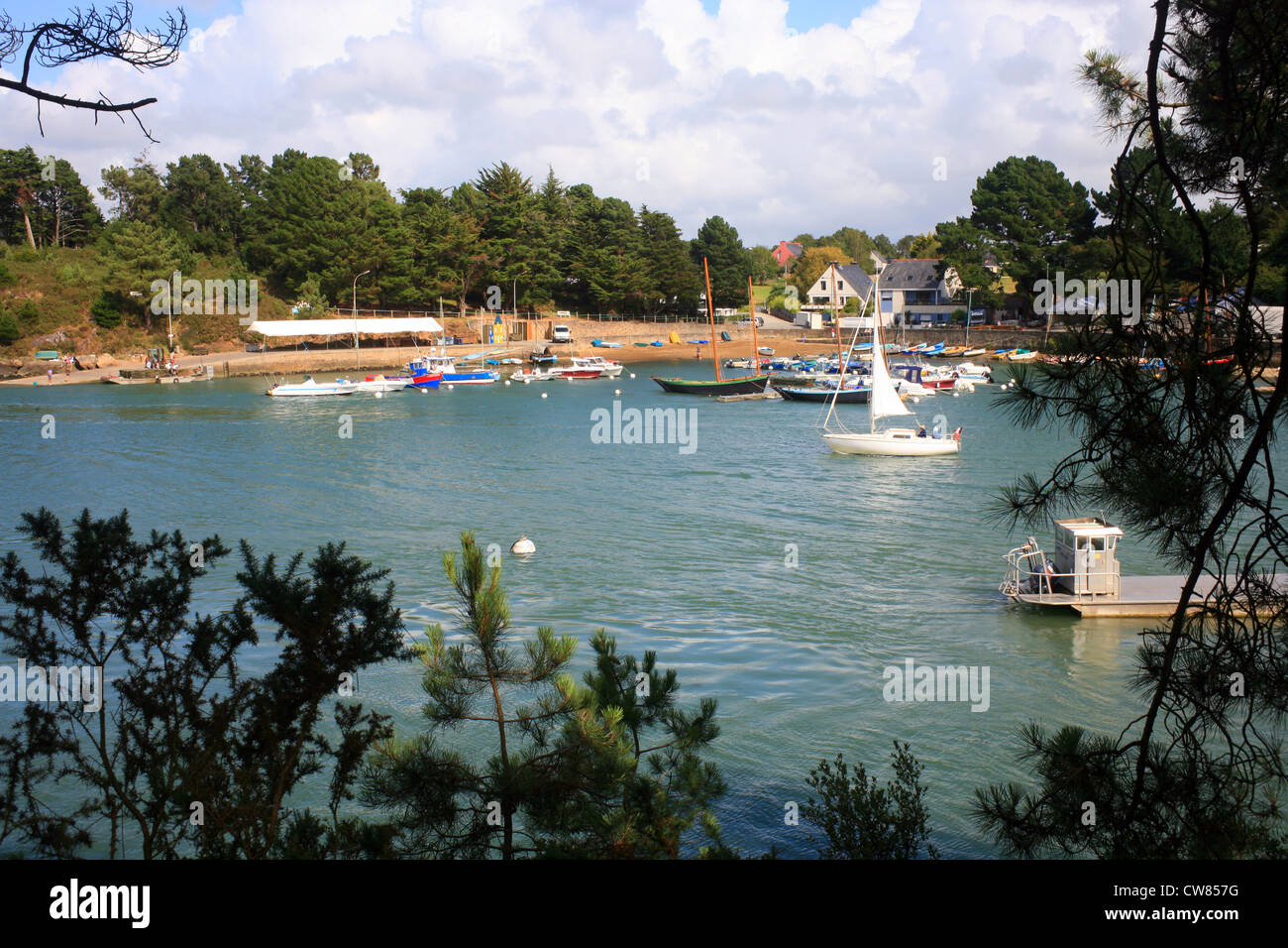 Vista del porto Anna da Tour du Golfe sentiero, Moreac, Vannes, Golfe du Morbihan, Morbihan, in Bretagna, Francia Foto Stock