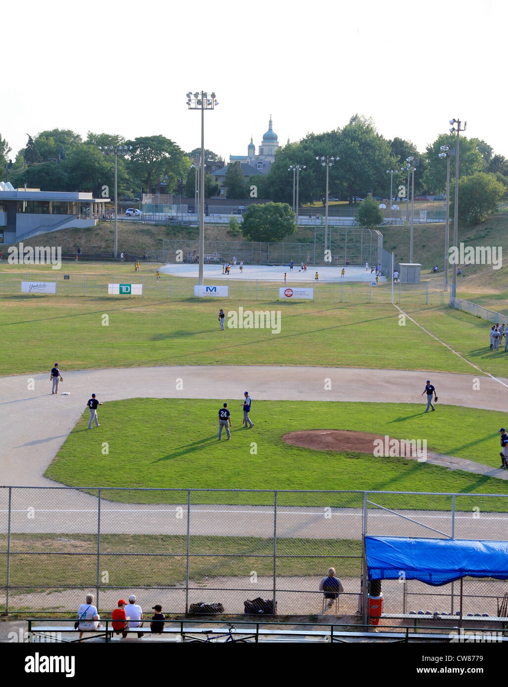 La gente a giocare a baseball in un parco a Toronto Foto Stock