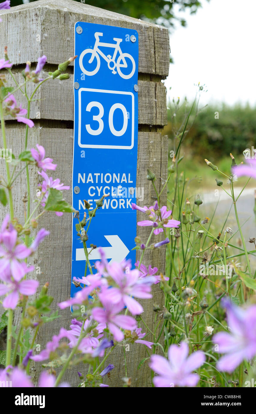 Ciclo nazionale network sign, sulla strada di campagna con fiori selvatici, Foto Stock