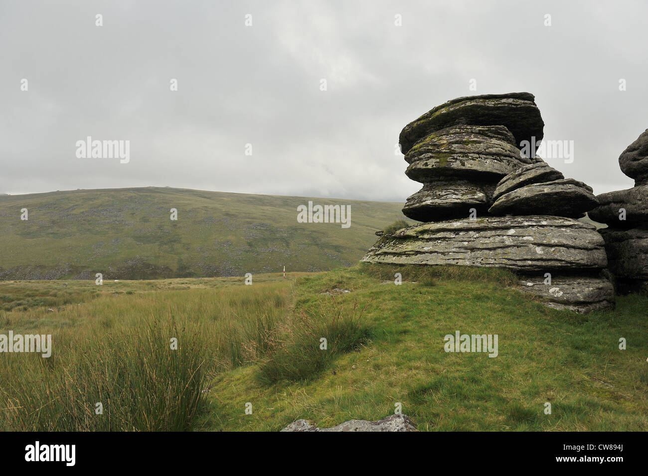 Kitty Tor su Dartmoor Foto Stock