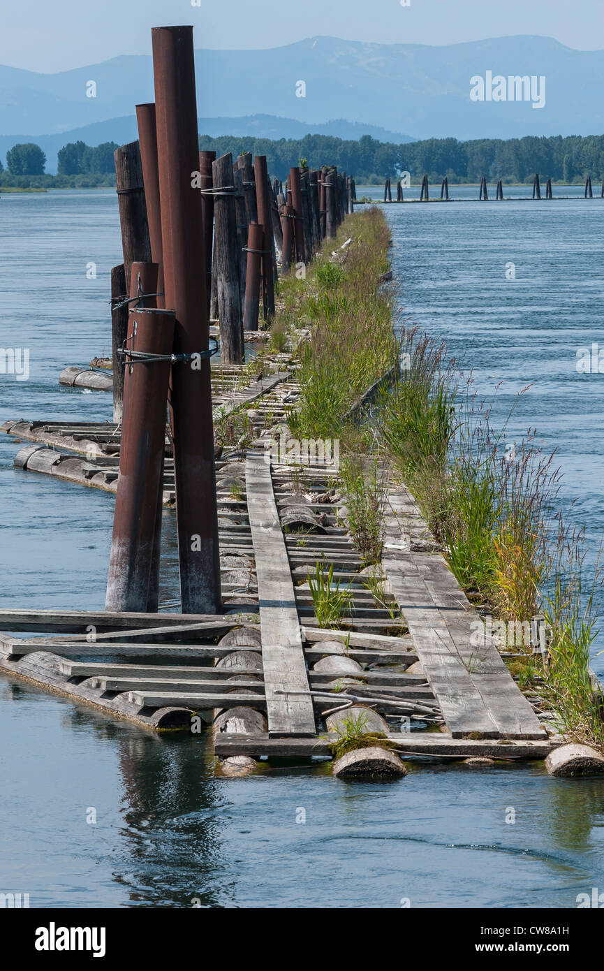 Il molo galleggiante lungo il fiume Clark Fork in Idaho settentrionale. Foto Stock