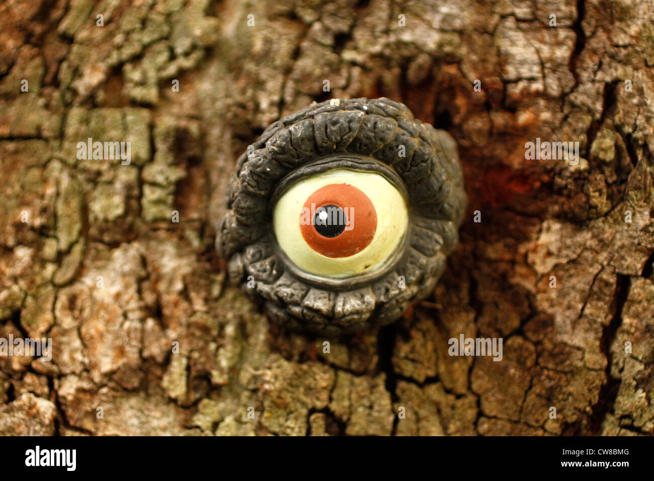 Un occhio decora un tronco di albero a Oaxaca, Messico, 21 luglio 2012. Foto Stock