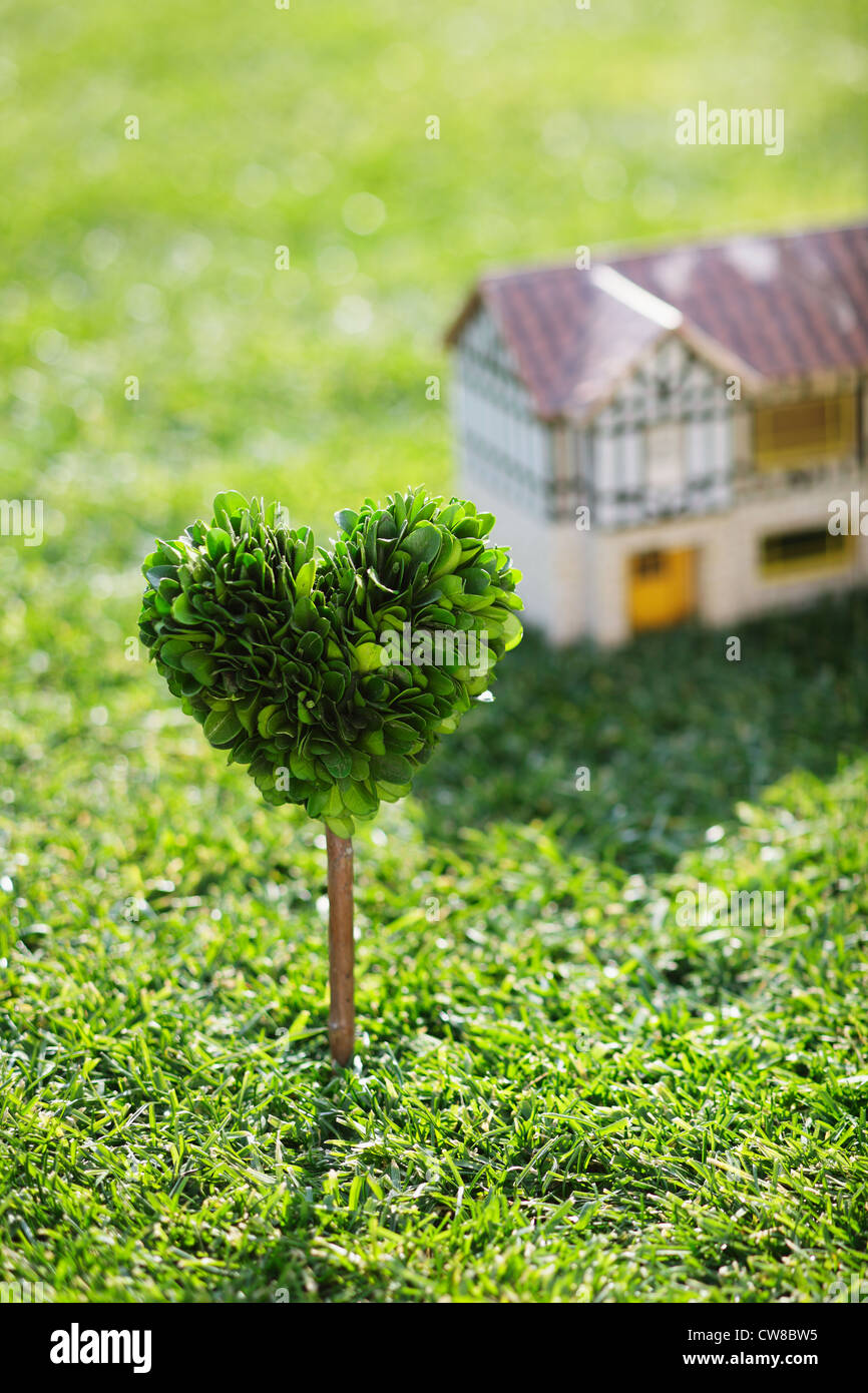 Forma di cuore albero vicino a casa Foto Stock
