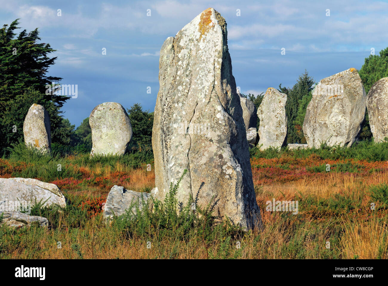 Francia, Brittany: Stone allineamenti di Carnac Foto Stock