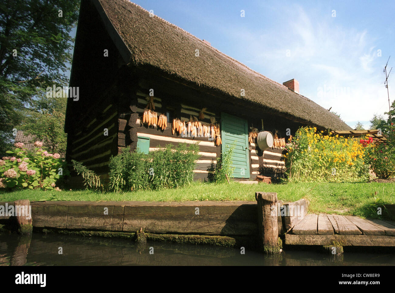 Luebbenau, casa e sulla pannocchia di mais in Spreewald Foto Stock