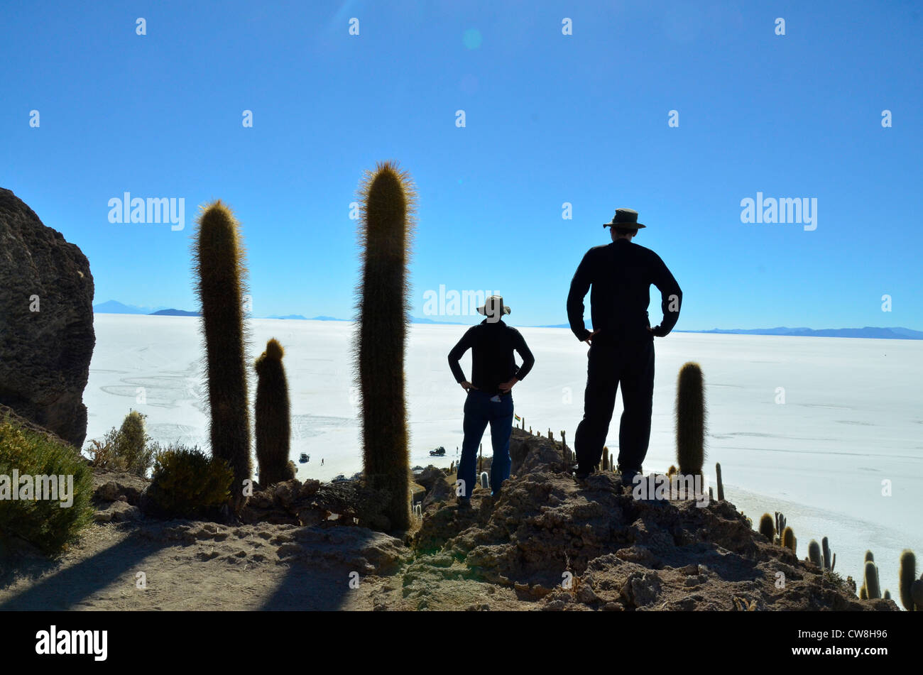 Salaar del Uyuni -- più grande distesa di sale sulla terra. Più di 10 000 km quadrati Bolivia, Sud America Foto Stock