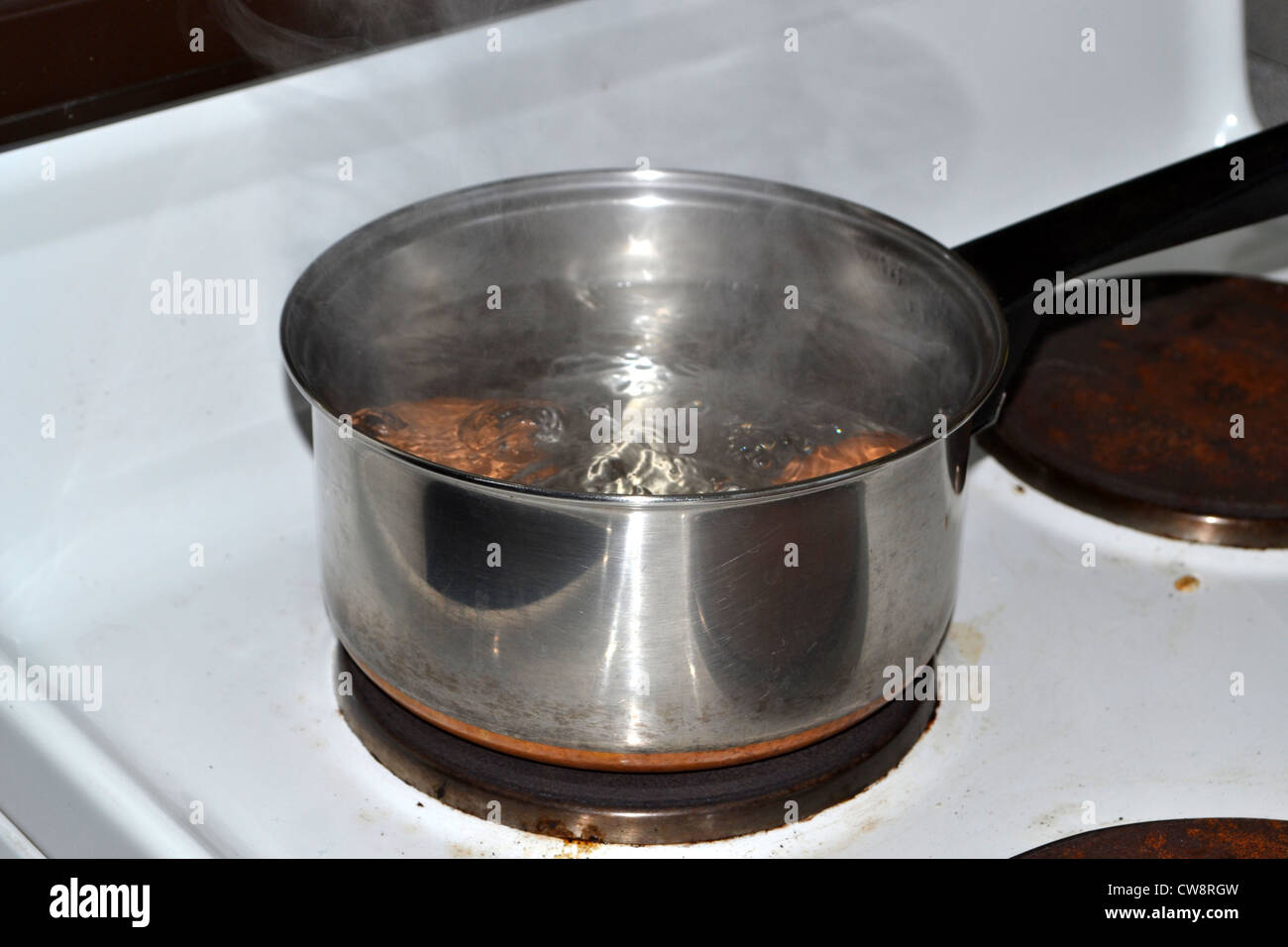 Bollire le uova nella pentola sulla stufa Foto Stock