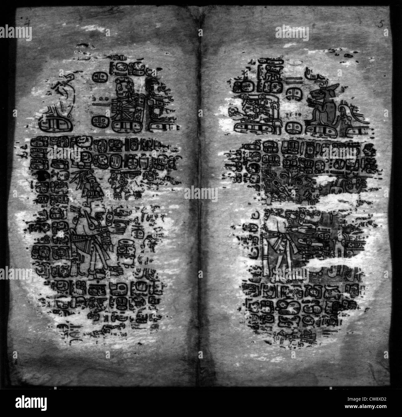 Manoscritto maya sulla carta di agave, ieratico iscritto Foto Stock